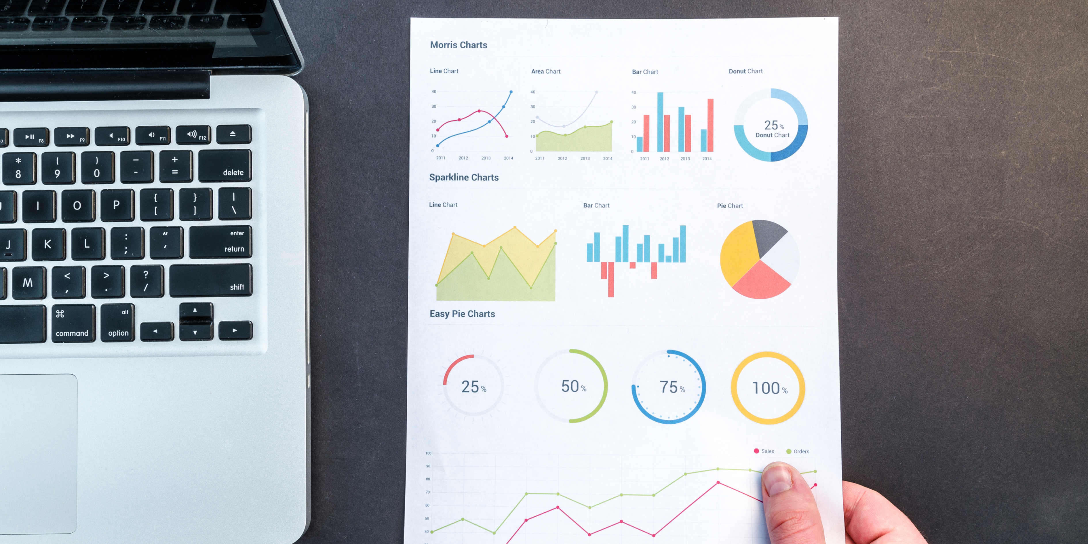 SEO & Digital Marketing