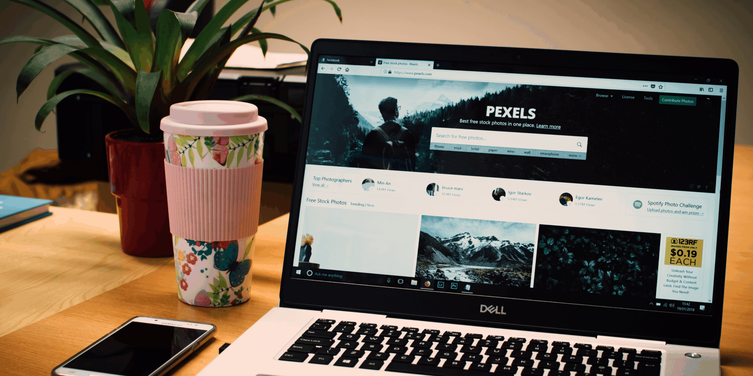 Professional Web Development